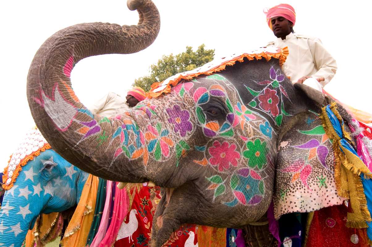 Celebrate Color and Tradition with Cultural Festivals in Rajasthan, India